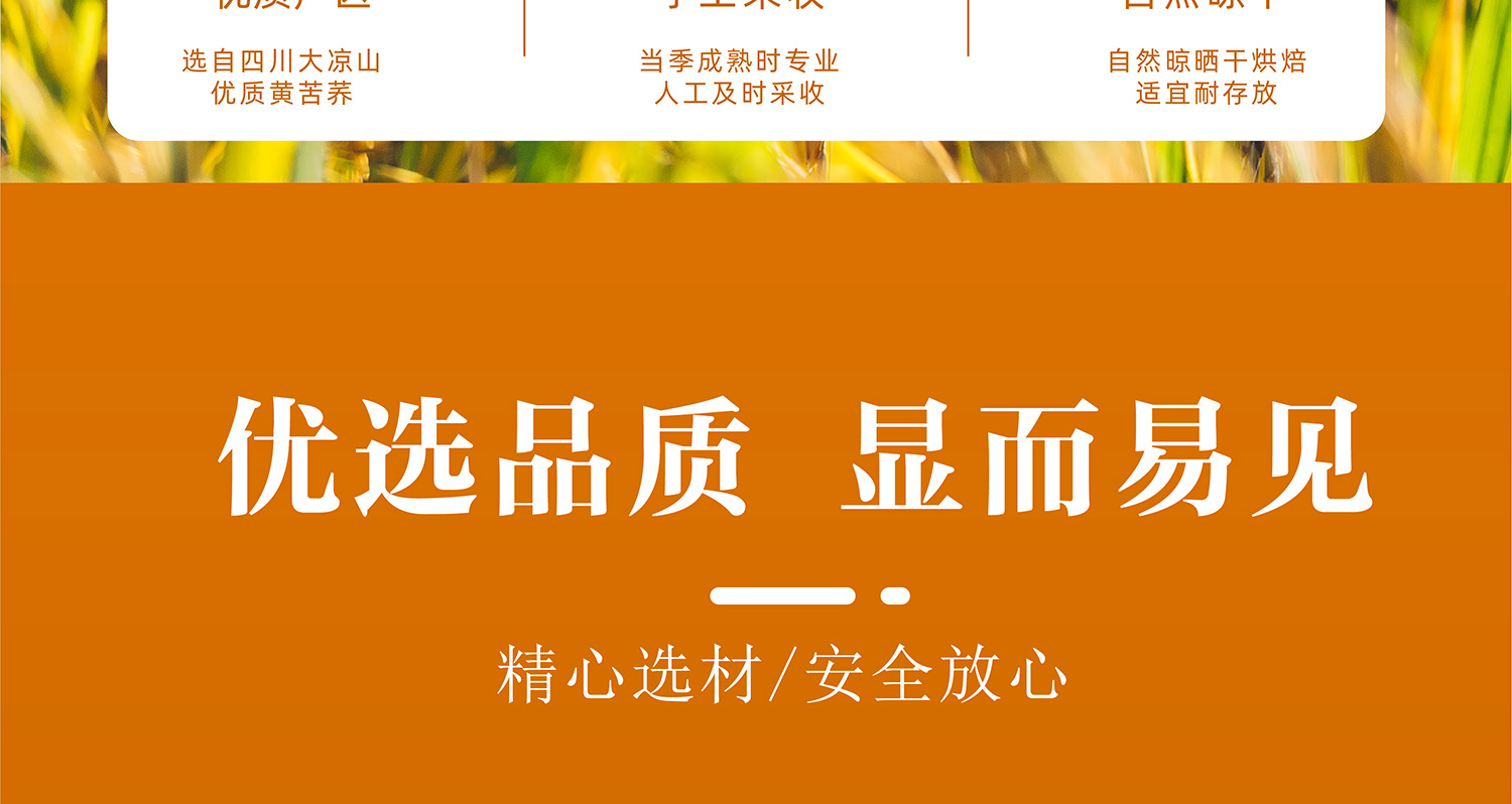 苦荞茶2500g5斤特级正品四川大凉山黄苦荞麦香型黄苦荞茶饭店专用 detail 7