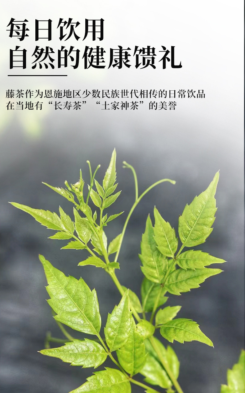 恩施富硒藤茶250g袋装张家界永顺莓茶厂家直销 detail 2