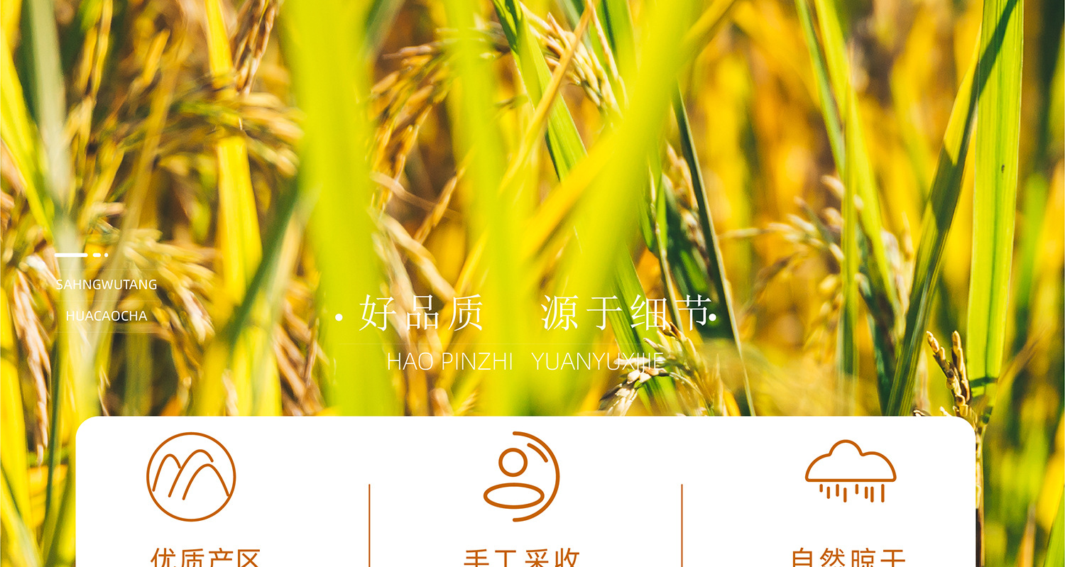 苦荞茶2500g5斤特级正品四川大凉山黄苦荞麦香型黄苦荞茶饭店专用 detail 6