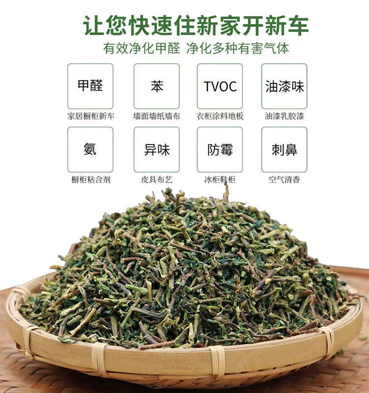 茶叶枝装修新房家用去甲醛茶叶吸甲醛新车除味梗铁观音茶叶去味根 detail 3