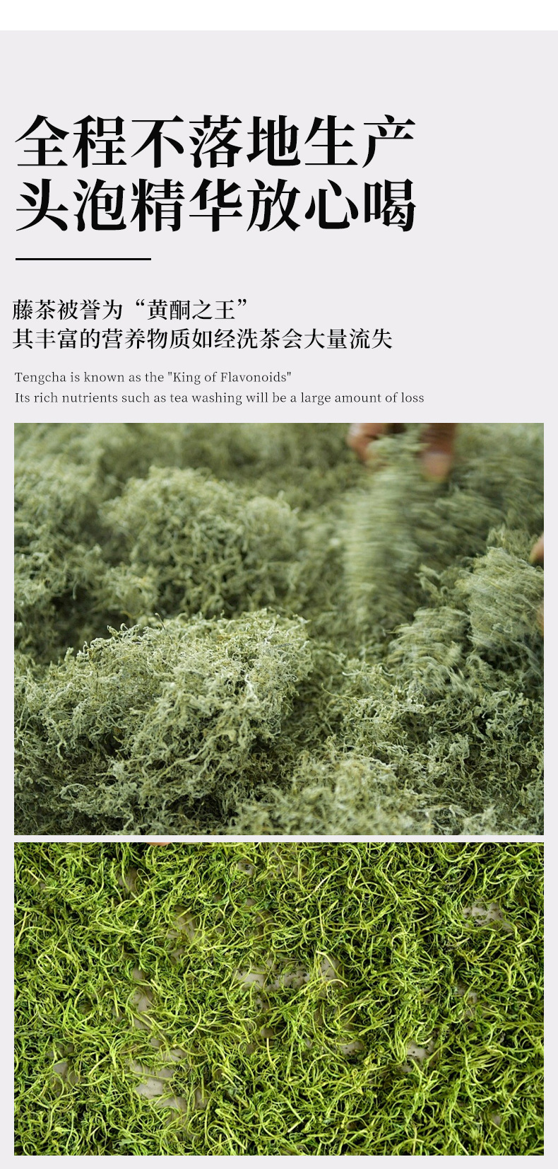 恩施富硒藤茶250g袋装张家界永顺莓茶厂家直销 detail 5
