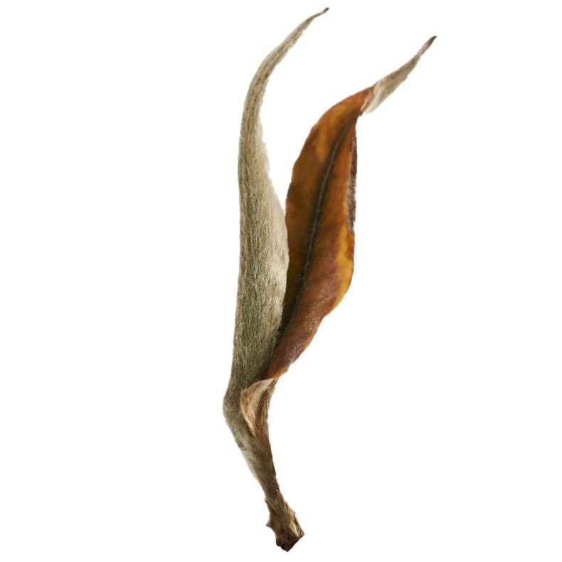 東方美人膨風茶臺灣高山烏龍新中式茶飲专用厂家批發量大优惠 5
