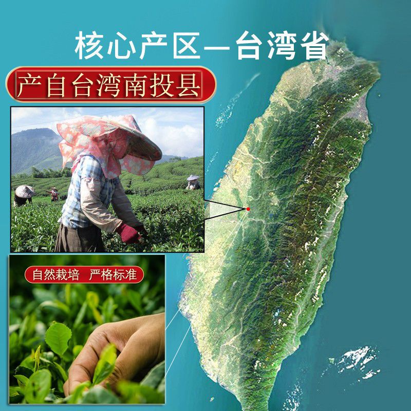 原裝臺灣正品高山茶正宗凍顶烏龍茶清香大禹岭梨山茶阿裡山新茶葉 detail 12