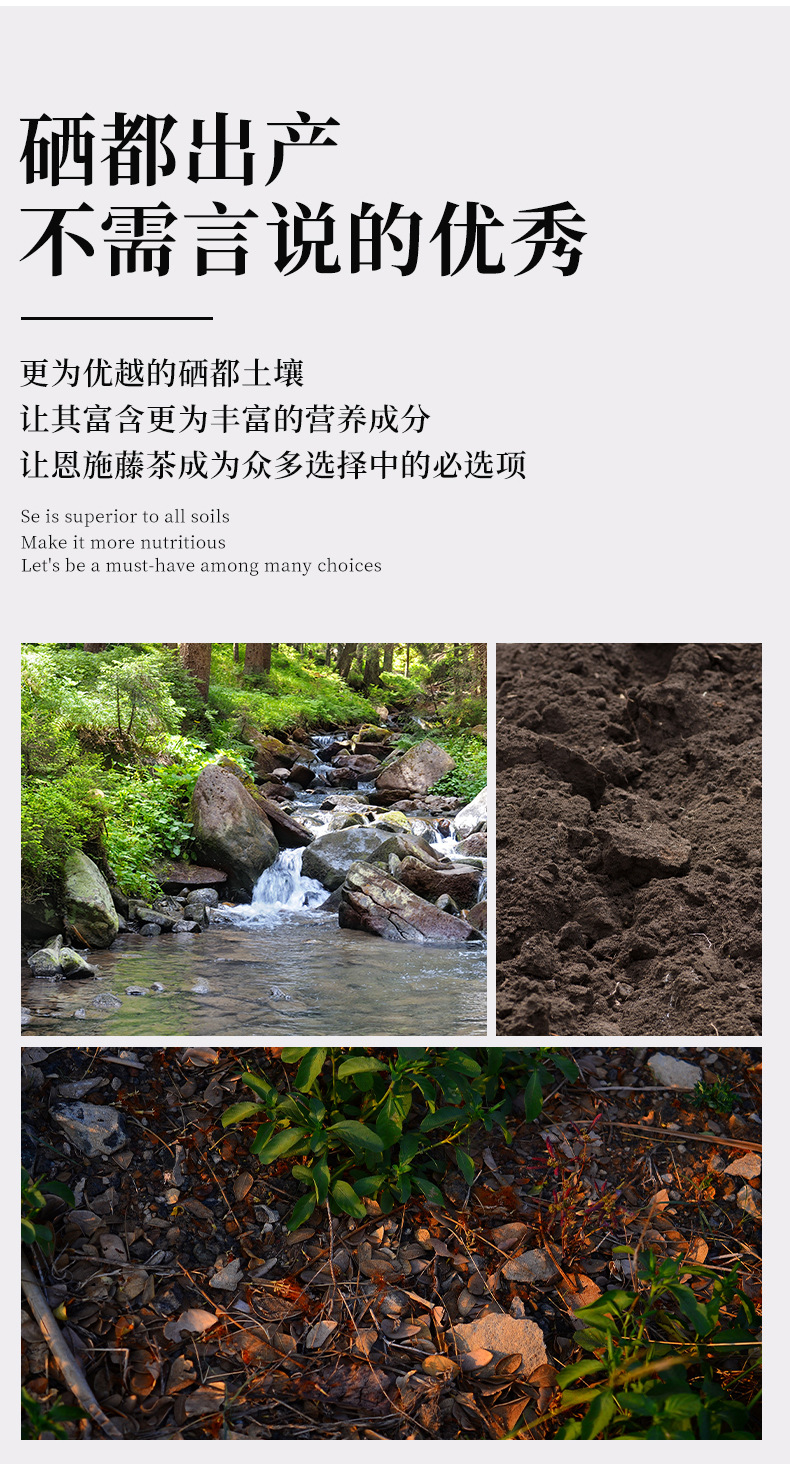 恩施富硒藤茶250g袋装张家界永顺莓茶厂家直销 detail 4